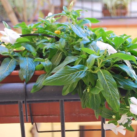 Apartment Casa Francesca Syracuse ภายนอก รูปภาพ