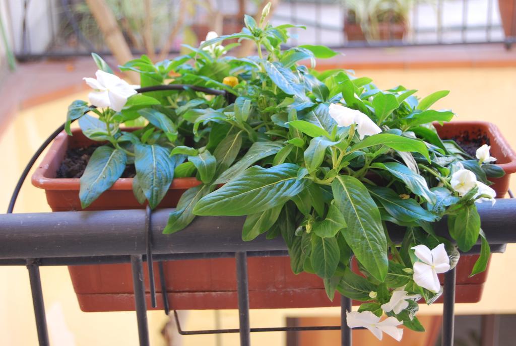 Apartment Casa Francesca Syracuse ภายนอก รูปภาพ