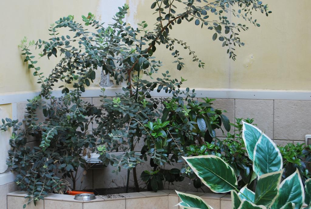 Apartment Casa Francesca Syracuse ภายนอก รูปภาพ