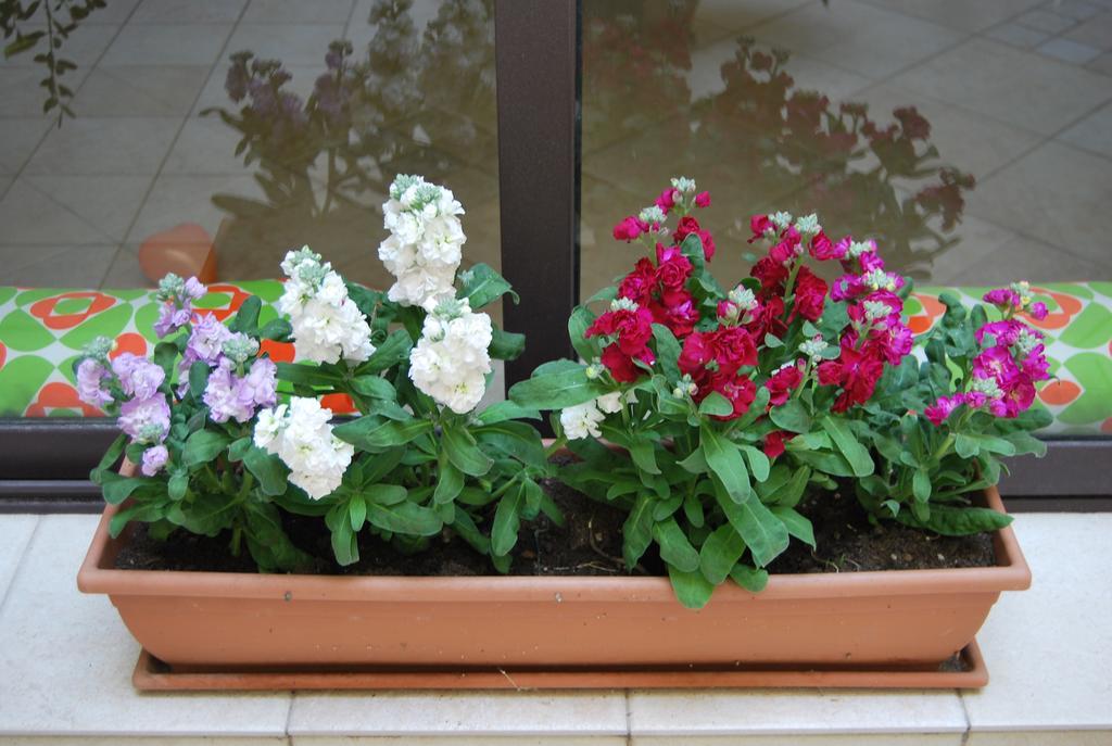 Apartment Casa Francesca Syracuse ภายนอก รูปภาพ